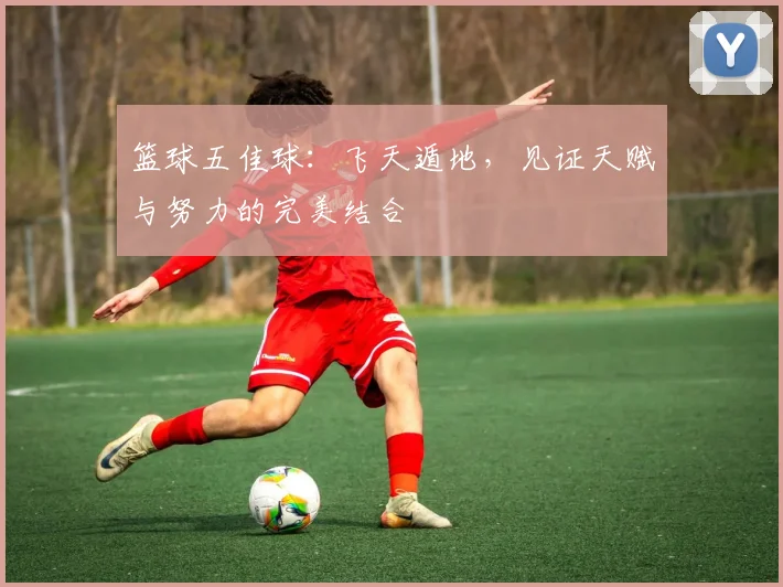 篮球五佳球：飞天遁地，见证天赋与努力的完美结合