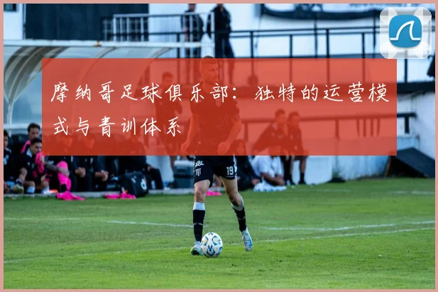 摩纳哥足球俱乐部：独特的运营模式与青训体系